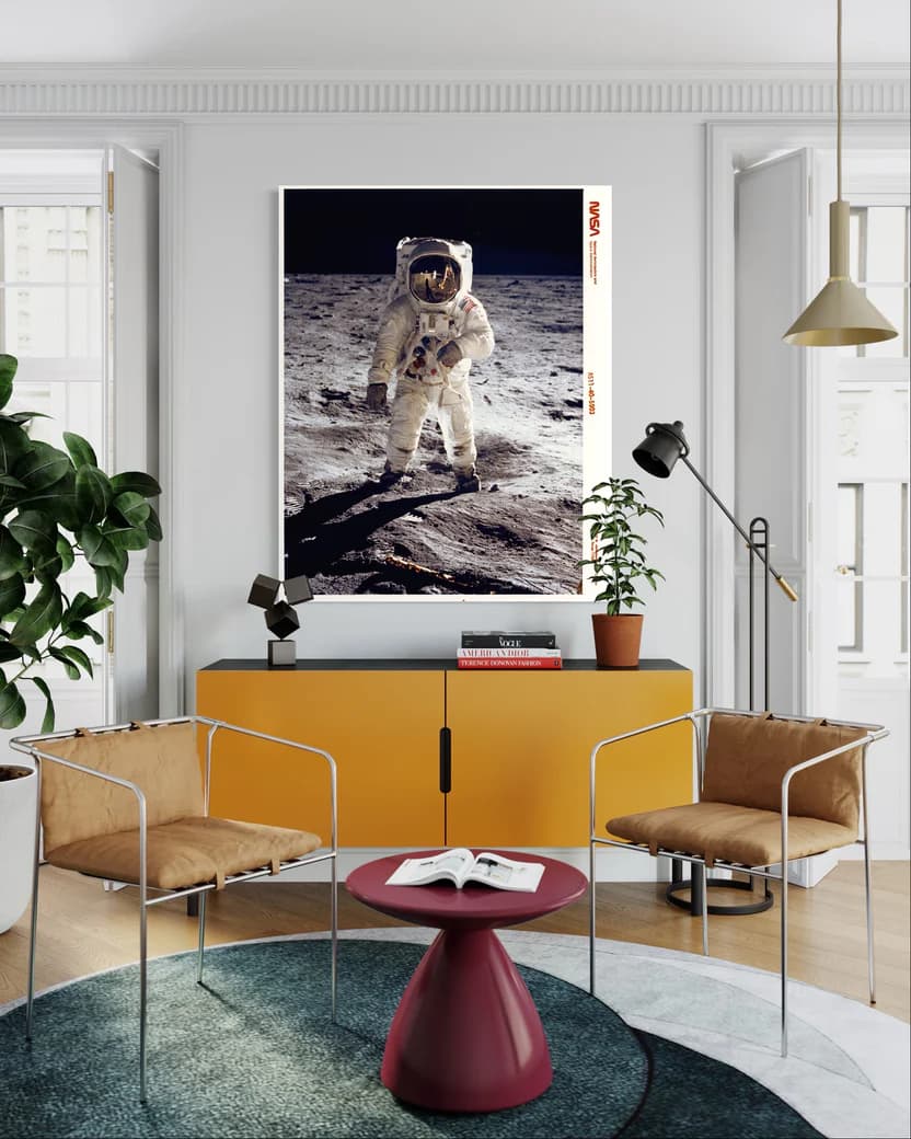 Ikonisches NASA Werk im Wert von 2.900 €
